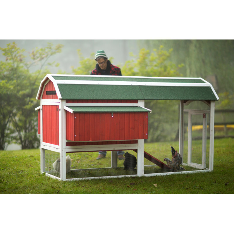 Archie & Oscar™ Hermione 33.93 Square Feet Chicken Coop with Chicken